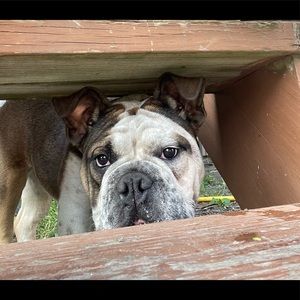 Meet your Posher, User